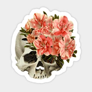 skull flower vintage illustration Sticker